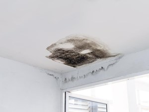 ¿Cómo puedo prevenir filtraciones en mi tejado?